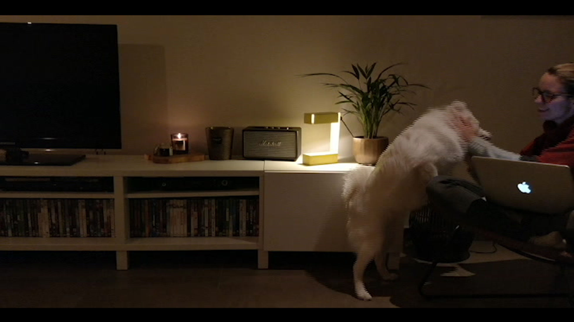 MONOLAMP